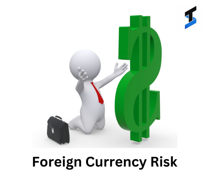 Understanding Currency Risk - THRILLING SECURITIES PRIVATE LIMITED